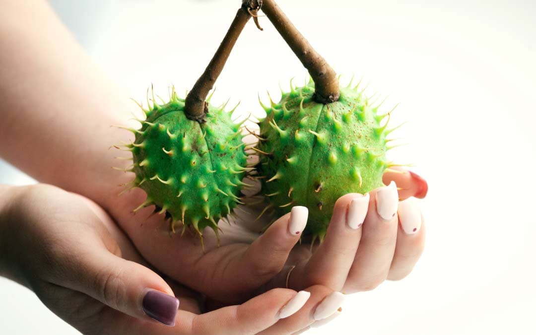 Pain in the Nether Region? Could be Epididymitis