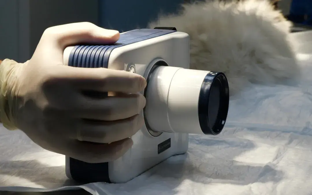 Portable X-ray machine — Is an x-ray at home reliable?