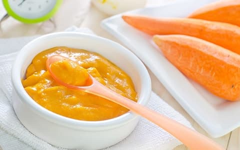 Easy and delicious Indian baby food recipes for 8 month olds