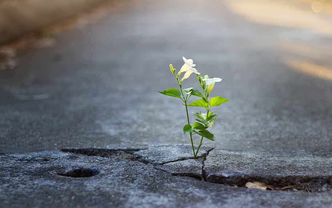 Mental Health Disorders: Let's Destigmatize The Stigma