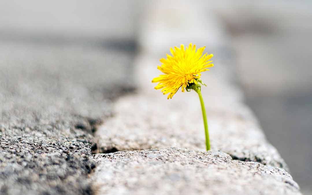 Mental Health: It’s OK To Talk About It