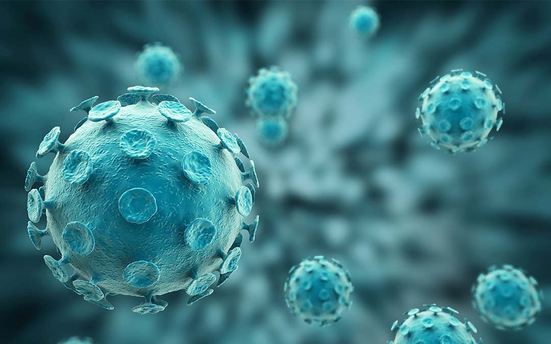 The Novel Coronavirus