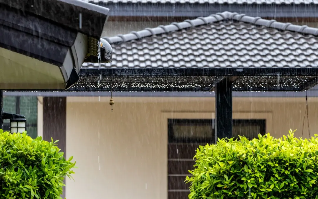 Embracing a Healthy Lifestyle During and After Fever: Essential Tips for Monsoon Wellness